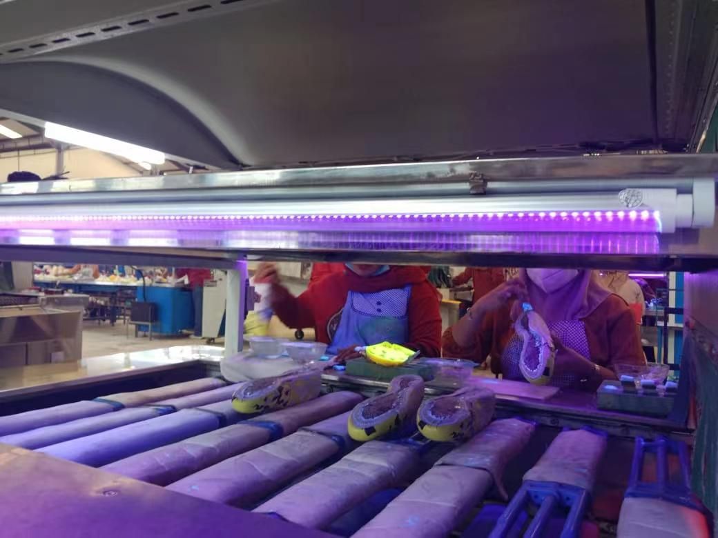 Application of LED UV tube in shoe factories