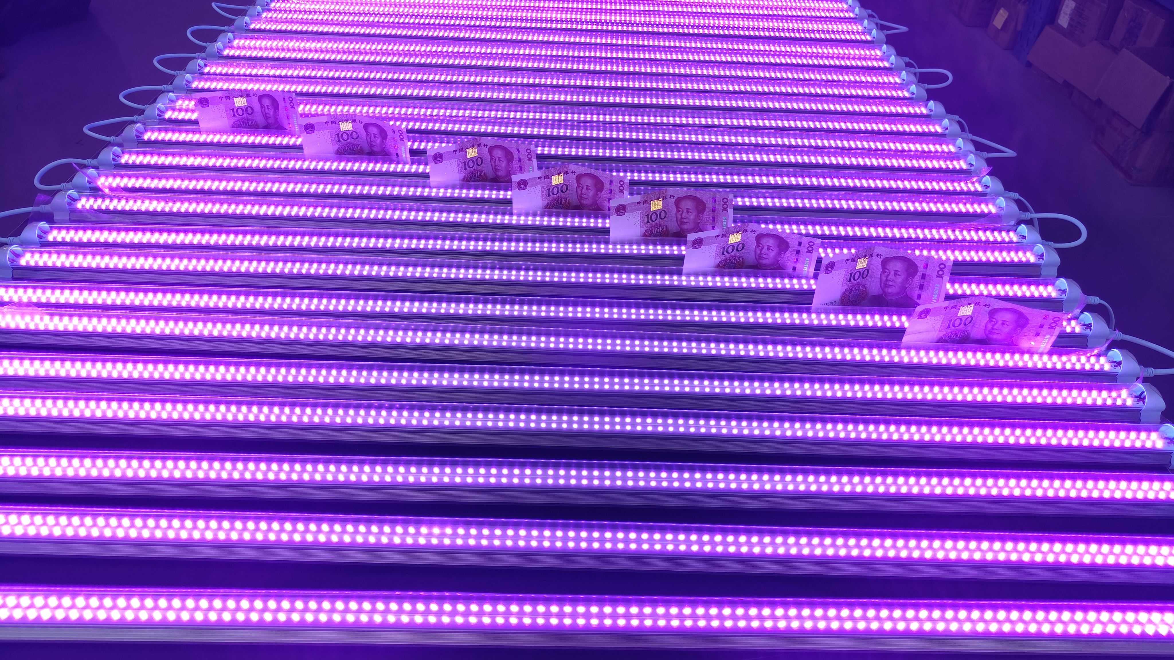 T8 double row LED UV tube 395NM